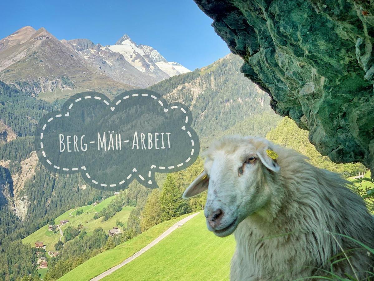 Oberer Gollmitzer * Heiligenblut